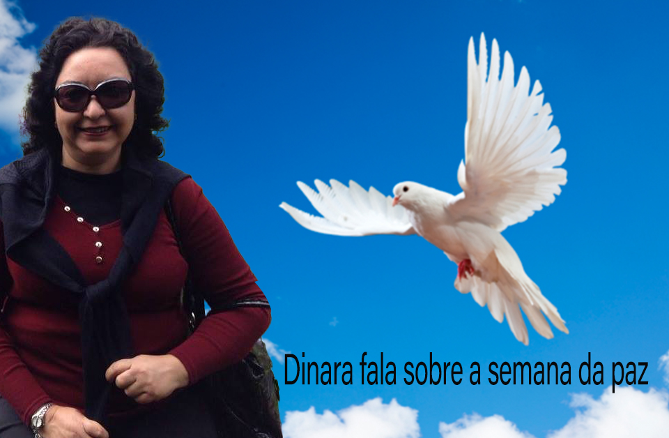 Será que precisamos valorizar a paz?