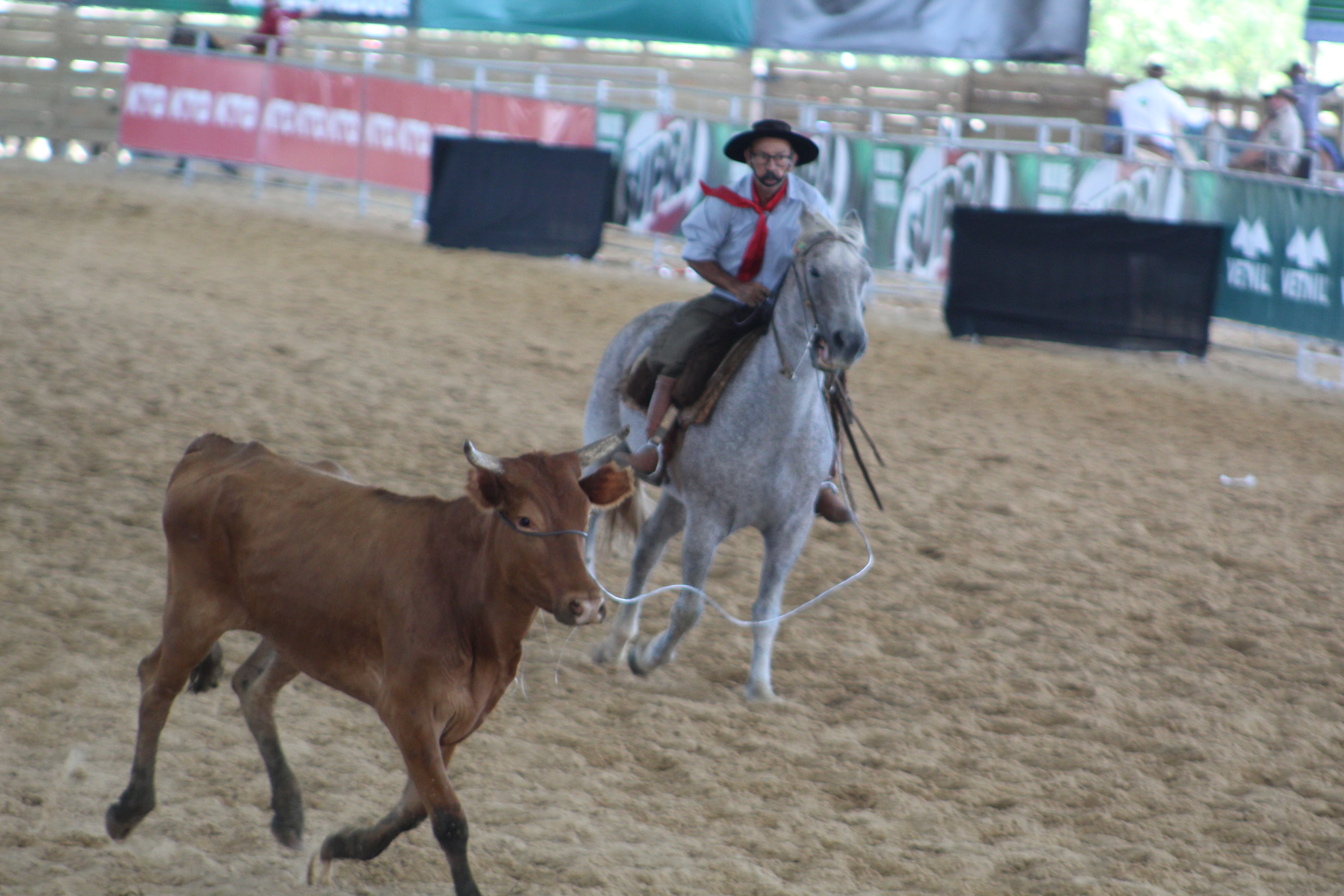 MTG divulga os campeões da 34ª FECARS em Esteio - 25ª RT é a grande campeã